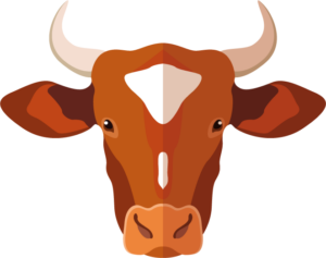 InterferOX logo